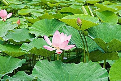 Y3高校大赛《七裔》团队专访：大胆热爱，拥抱无限可能_Y3编辑器